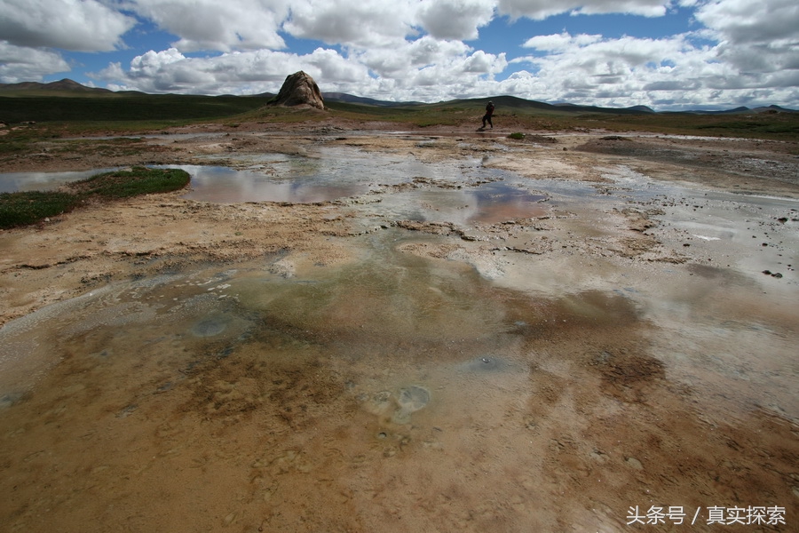 荒野求生秘籍完整版,荒野自救教程