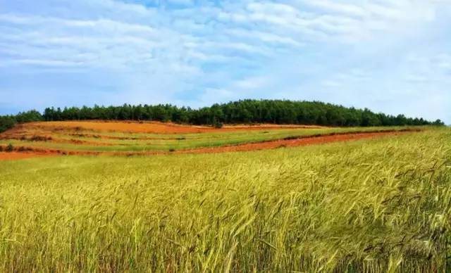 广州到云南的廉价机票,广州去云南的机票多少钱