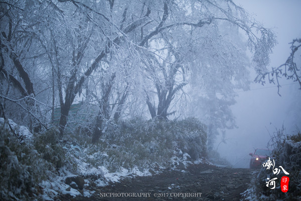 「成都躲霾攻略」喇叭河的圣诞奇缘