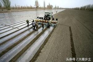 在农村种植什么最合适最挣钱,现在适合农村种植的什么最赚钱