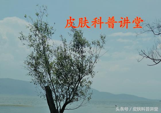 皮肤科医生毛孔粗大推荐的护肤品,毛孔粗大有黑头可以看皮肤科吗