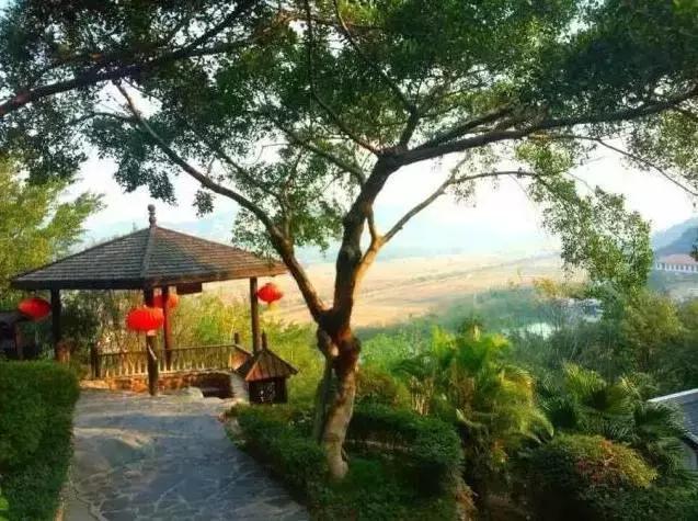 清远英德奇洞温泉小镇,英德奇洞温泉度假村