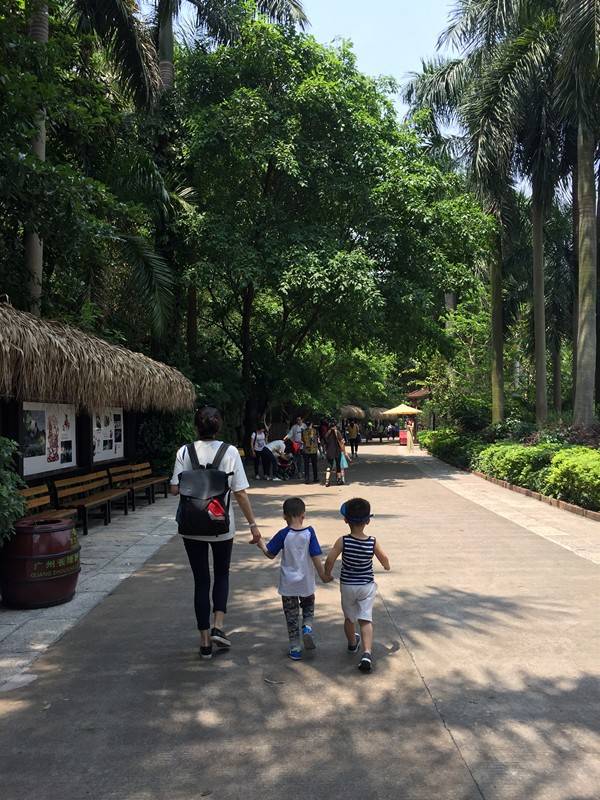 长隆攻略水上乐园和大马戏,广州长隆动物世界旅游攻略