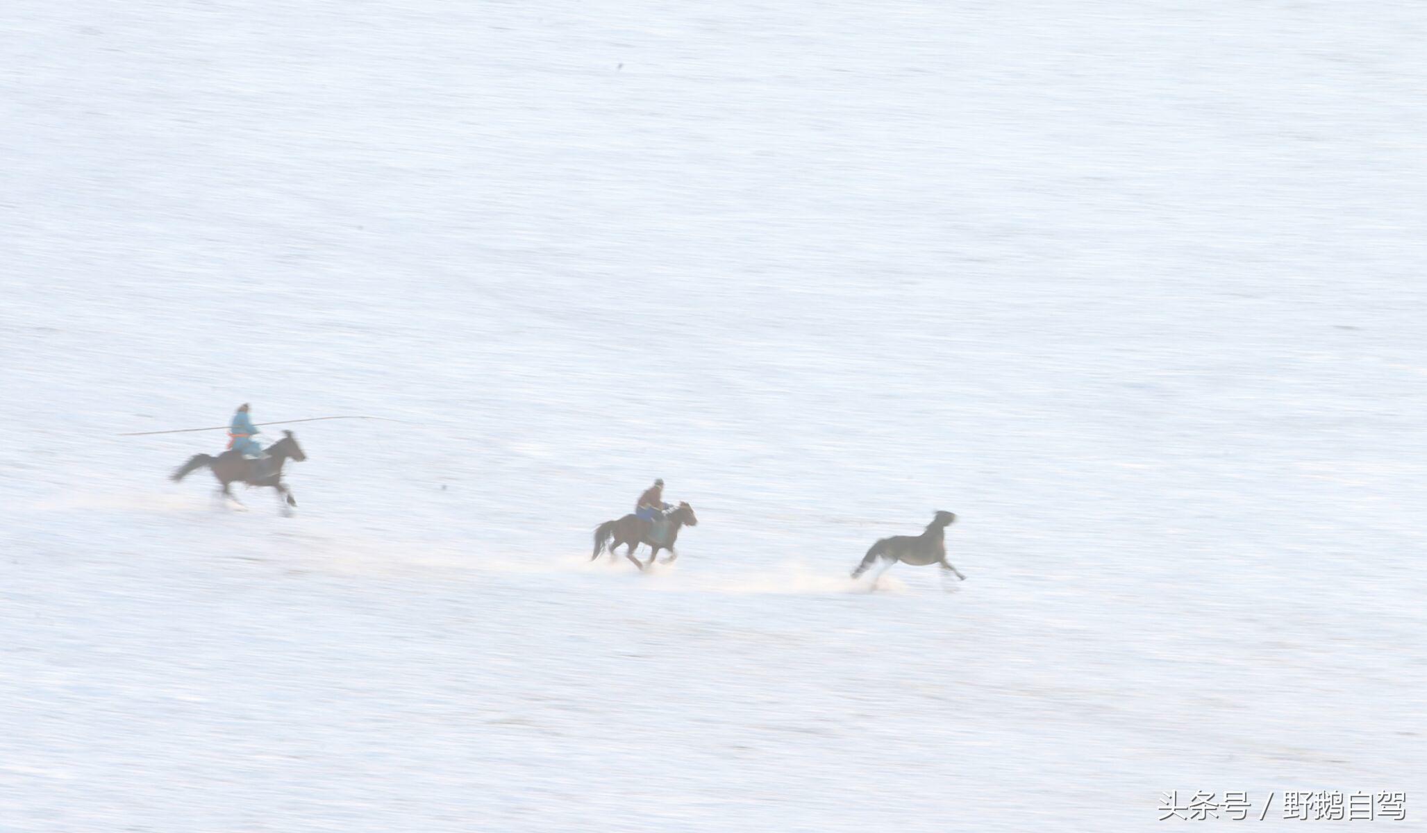 锡林郭勒盟那达慕自驾攻略,锡林郭勒冰雪那达慕完整版