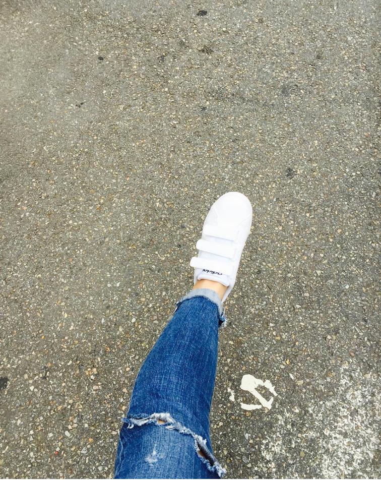 刘德华坠马回港,刘德华坠马回港全程