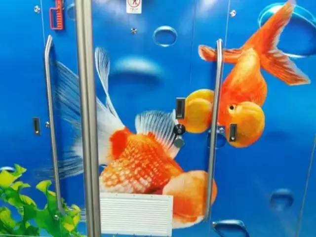 记者体验地铁,福州地铁开通运营