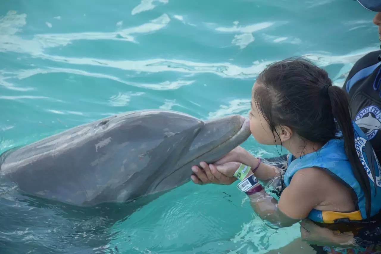 墨西哥坎昆自由行攻略,墨西哥坎昆旅游记