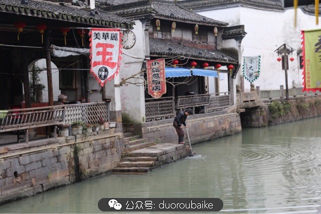 古镇寻肉记:那些旅行中遇见的植物!