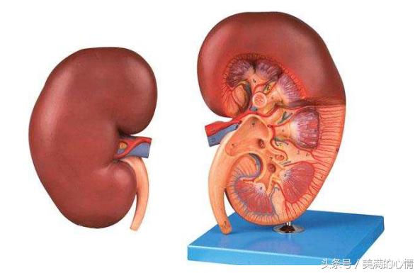 预防尿毒症的方法和注意事项,尿毒症患者日常生活要注意什么