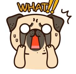 火车站叫帮忙取票,火车站喊票