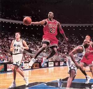 成都ifs熊猫叫什么名字,成都ifs熊猫的看点是什么