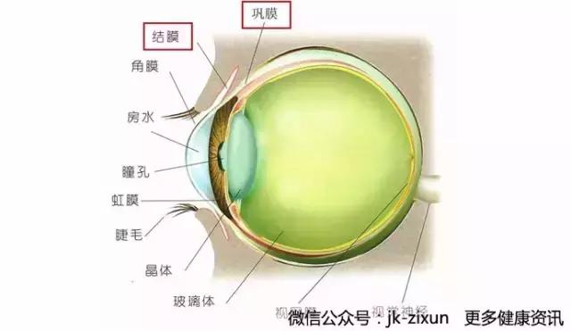 眼白上有黑点是怎么回事,眼白上的黑斑有影响吗