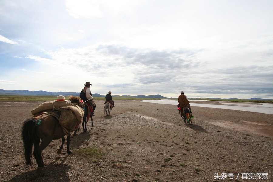 荒野求生秘籍完整版,荒野自救教程