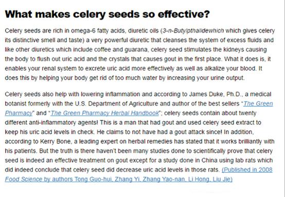 痛风急性发作期服用西芹籽 (年轻的痛风患者能长期吃西芹籽)