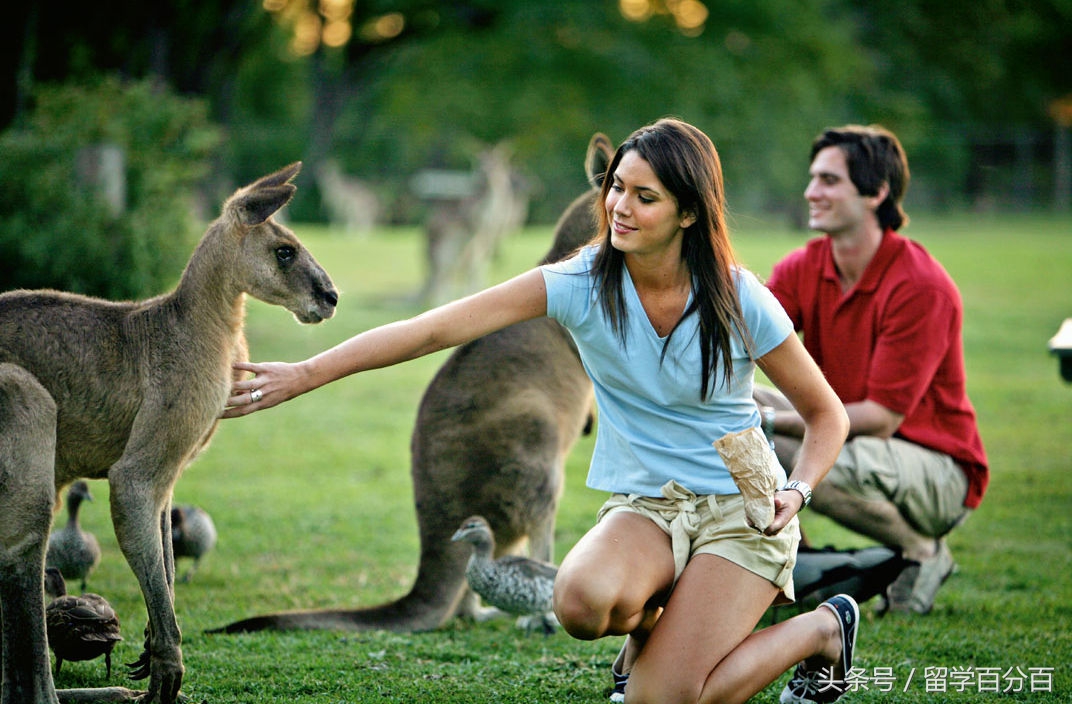 北外申请国外留学容易吗,北外留学预科可靠吗
