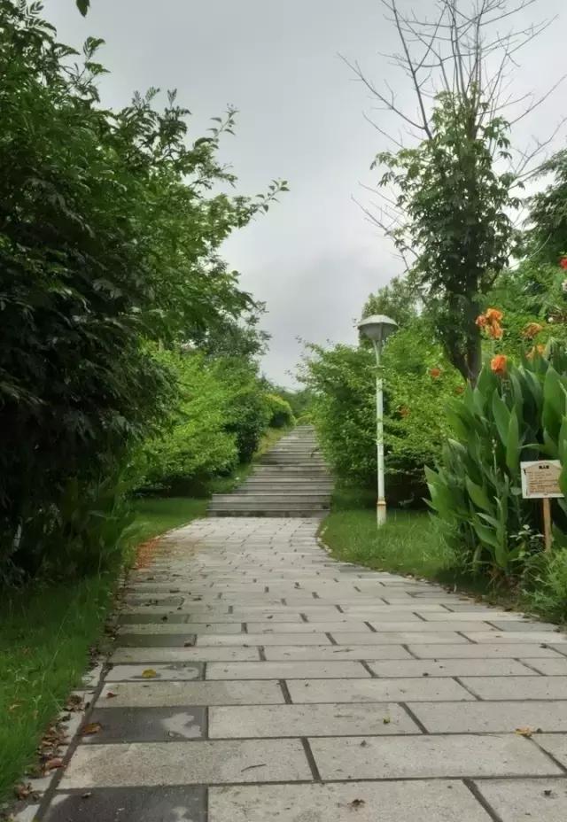 厦大入选全球12所最美大学！像花园一样的大学厦门原来这么多