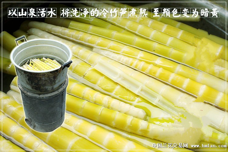 西部刀手，行走于中国道教神山四川洪雅瓦屋山，暗藏杀伐之气！