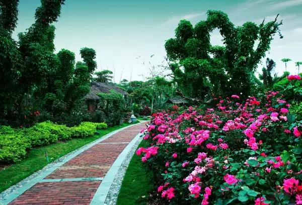 从东莞出发,不到两小时,就可以感受到靓爆灯的童话世界！