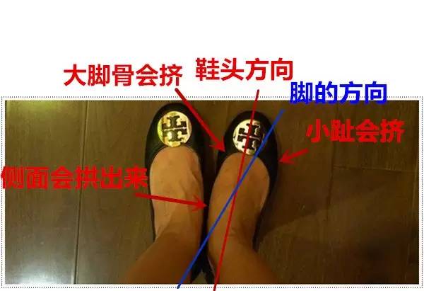 谣言粉碎机是什么旗下的,谣言粉碎机