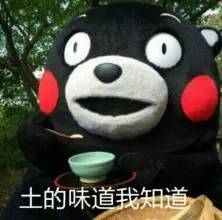 新加坡旅游攻略自由行圣淘沙,新加坡圣淘沙游玩攻略亲子