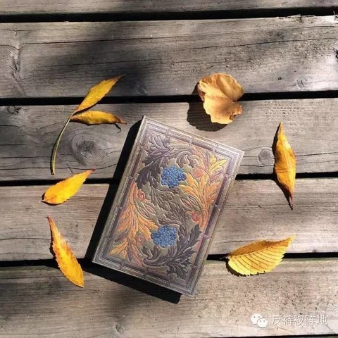 好看美丽的文具,提升写字乐趣的文具