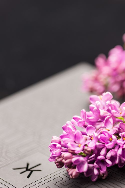 特色花店营销策略,如何开一家花店营销策略案例分享