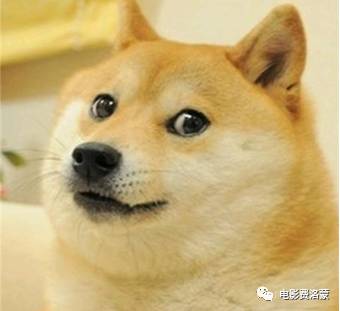 卷福夏洛克完整视频,神探夏洛克让卷福一夜爆红