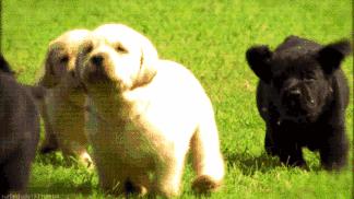 如何学数学几何证明,怎么学习数学查数