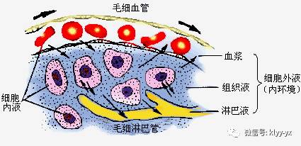 产后健康管理检查,产后体检莫忽视