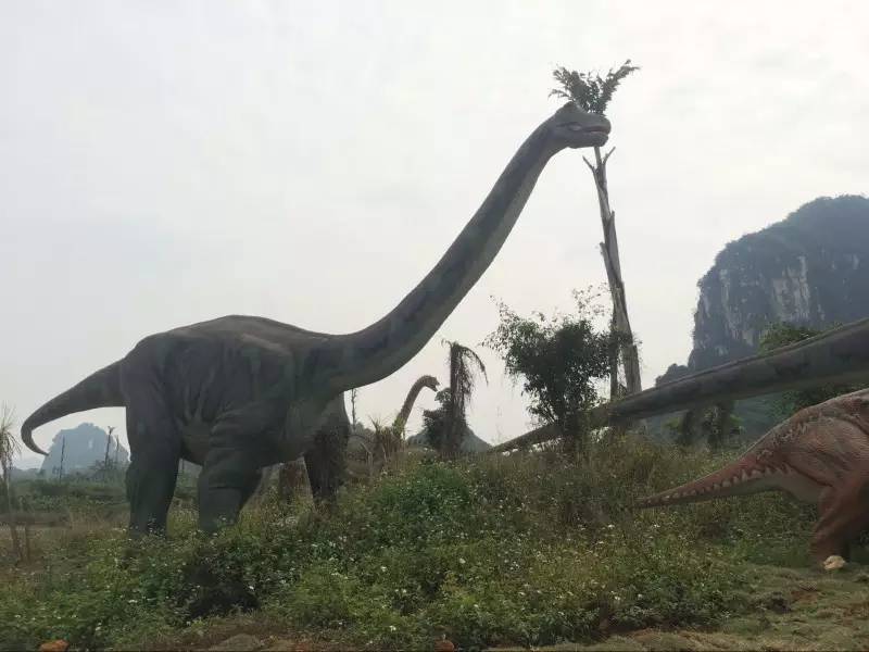 侏罗纪公园中的恐龙,侏罗纪水上乐园出现真实恐龙