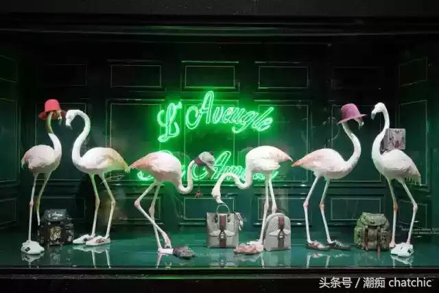 newgucci (新的gucci要怎么看)