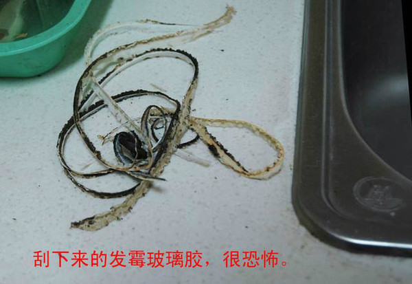 水槽密封胶发霉怎么处理,预防水槽边上的胶发霉