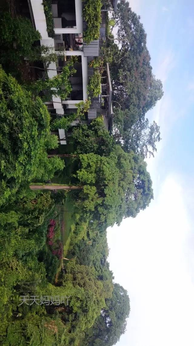 新加坡圣淘沙详细攻略,新加坡圣淘沙真实感受