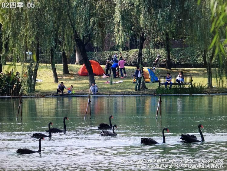 浙江大学是中国最水的大学,一分钟带你了解浙江大学