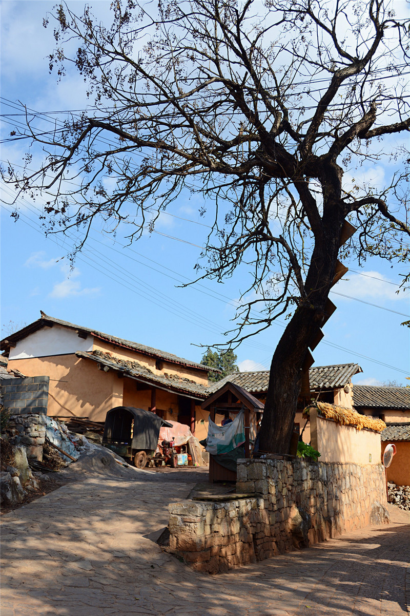 说走就走的旅行云南红河,邂逅云南高原美景