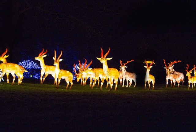 英国伦敦旅游购物攻略,伦敦旅游攻略相关推荐