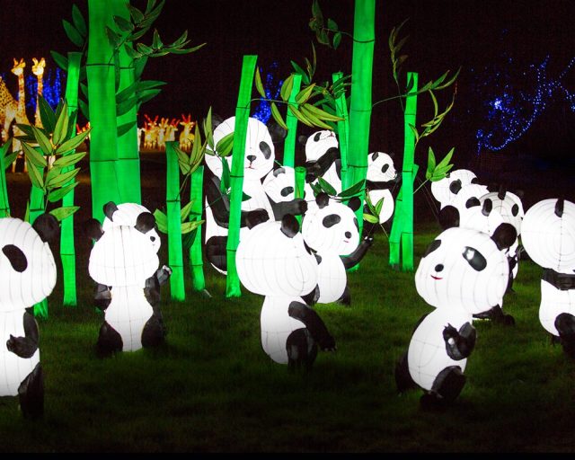 英国伦敦旅游购物攻略,伦敦旅游攻略相关推荐