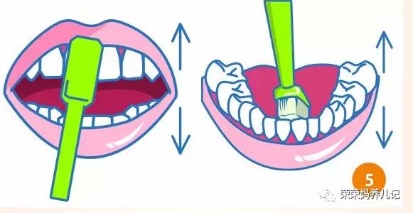 盘点李*荣大**的牙刷军团！其实吧，牙刷并不是重点，怎么刷才是！