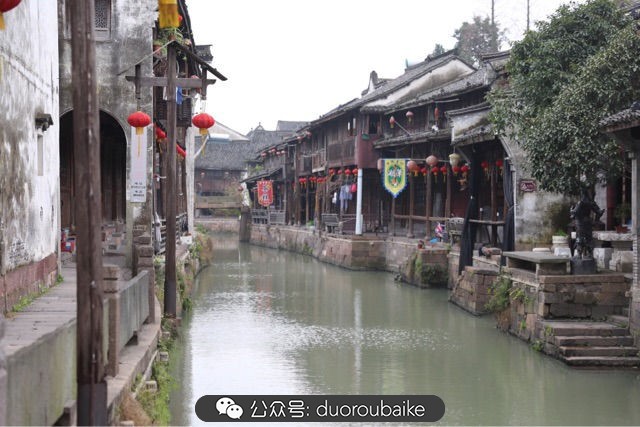 古镇寻肉记:那些旅行中遇见的植物!