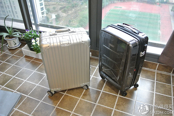 说走就走的旅行2020,说走就走的旅行美国