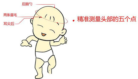 一岁八个月宝宝头围标准是多少,8个月胎儿头围标准是多少正常