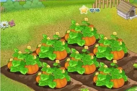 有一种回忆，叫QQ