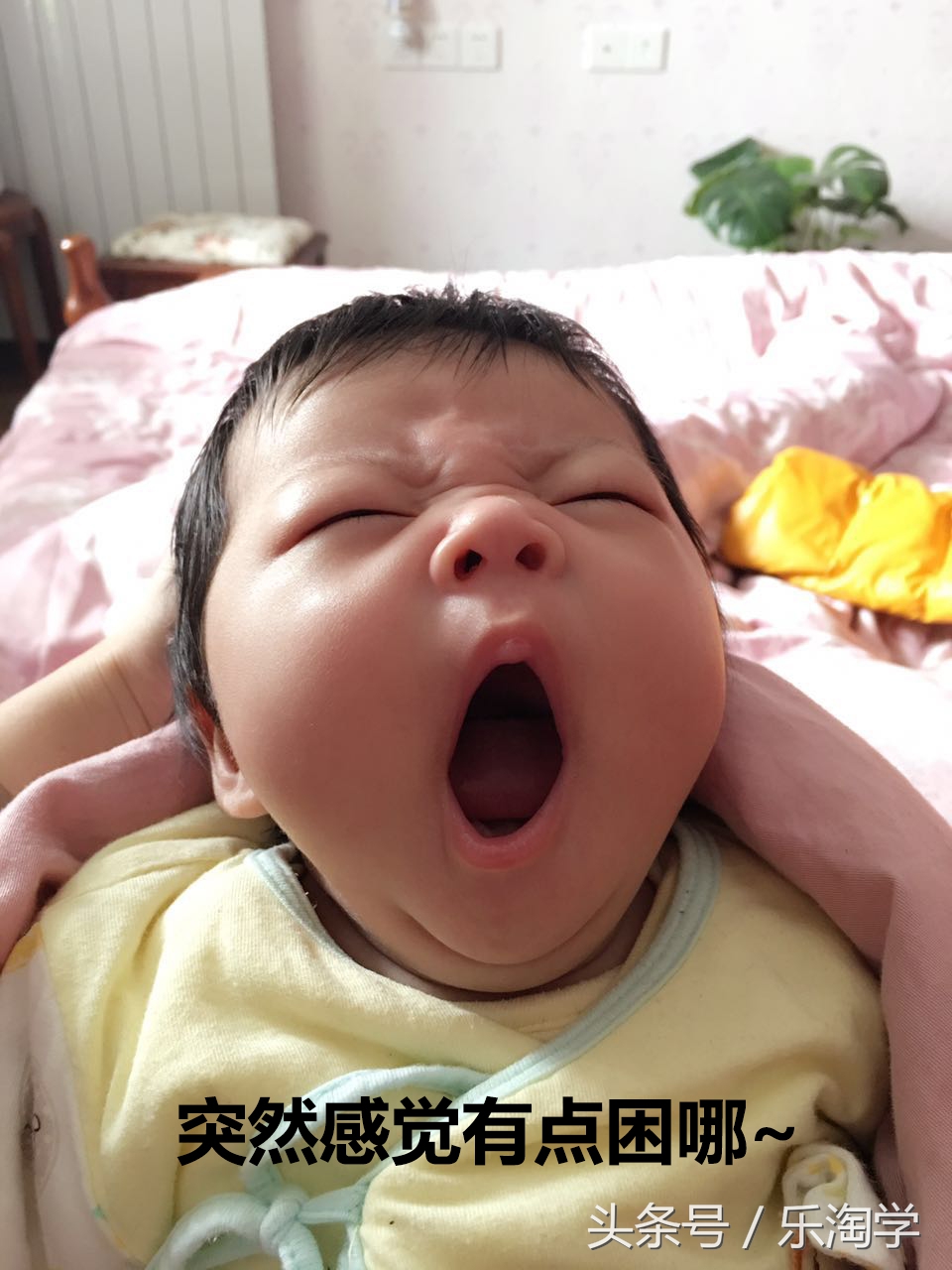 亲子漫画图片,亲子健康成长漫画