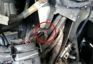 女司机车异味,女司机车内发出恶臭