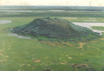 冻土层长成什么样,冰下面的地下土长什么样