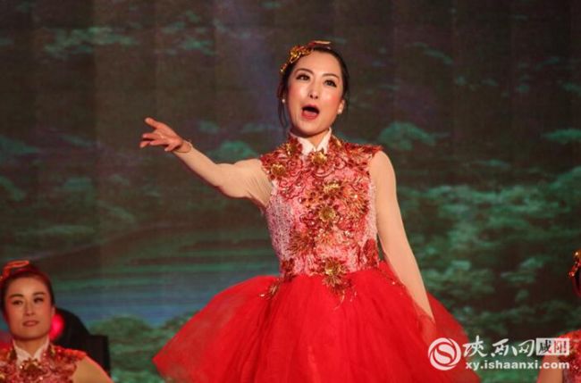 永寿县春节联欢晚会直播链接,美丽家园幸福生活晚会