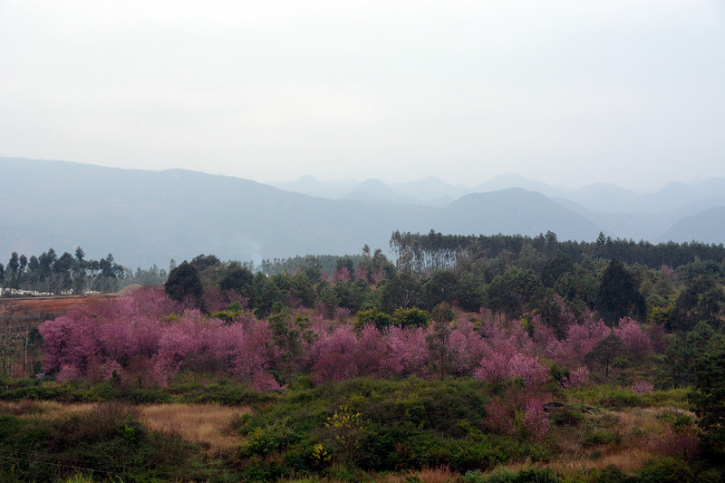 说走就走的旅行云南红河,邂逅云南高原美景