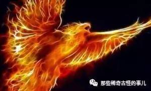 古代四大凶兽和四大神兽的关系,五大瑞兽和四大凶兽与五大神兽