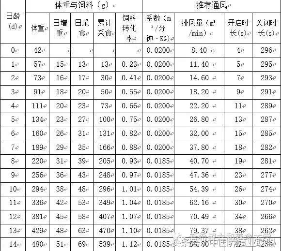冬季鸡怎么管理,冬季脱温鸡怎么养
