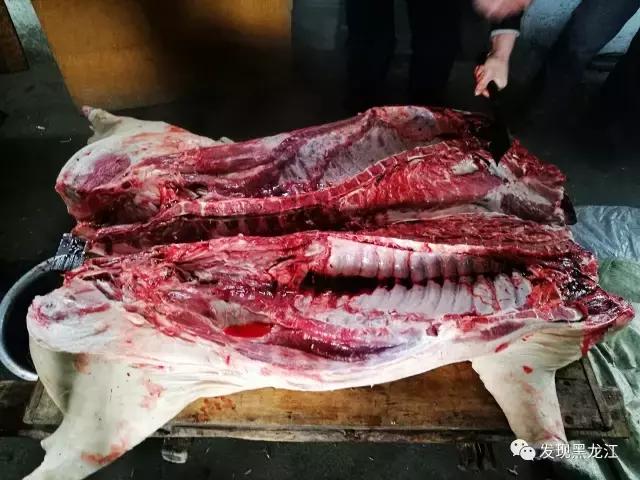 现场实拍农村一家人杀年猪全过程,东北农村真实生活杀年猪
